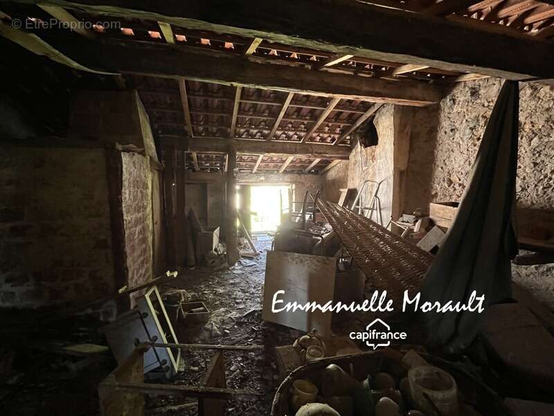 Commerce à BAGNOLS-EN-FORET