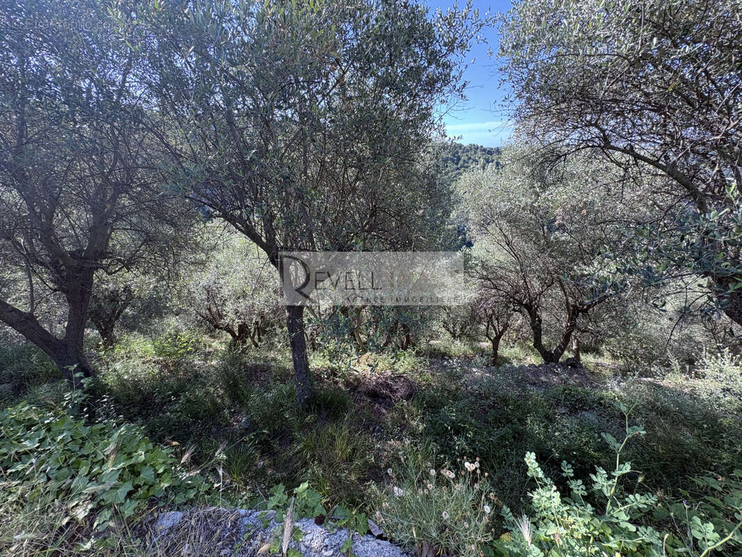 Terrain à LA ROQUETTE-SUR-VAR
