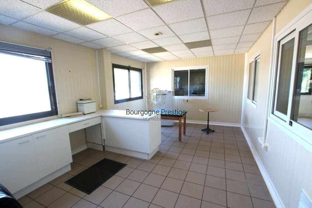 Batiment industriel 922 m² dont bureaux 332 m². stockage chambres froides 590 m² sur un terrain de 10 153 m² - photo 8