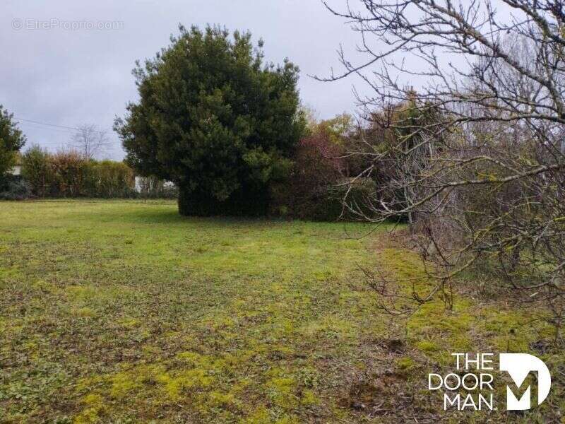 Maison 18290 - photo 14