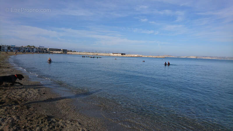 Appartement à MARSEILLE-8E