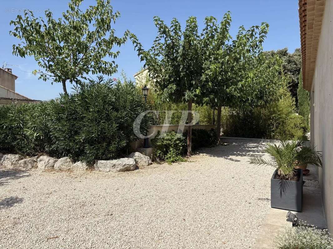 Aureille Villa de charme 175 m2 6 chambres - photo 12