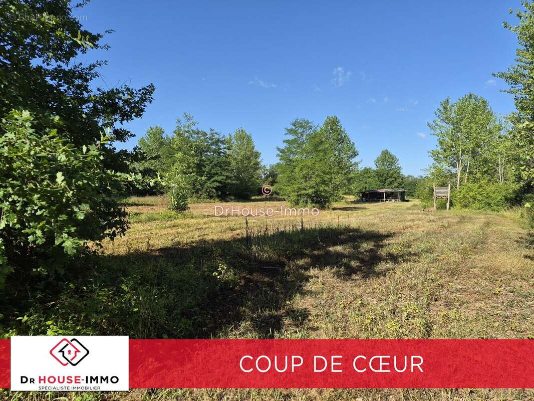 Terrain 23 052 m² à vendre à Chichery (89400) - photo 5