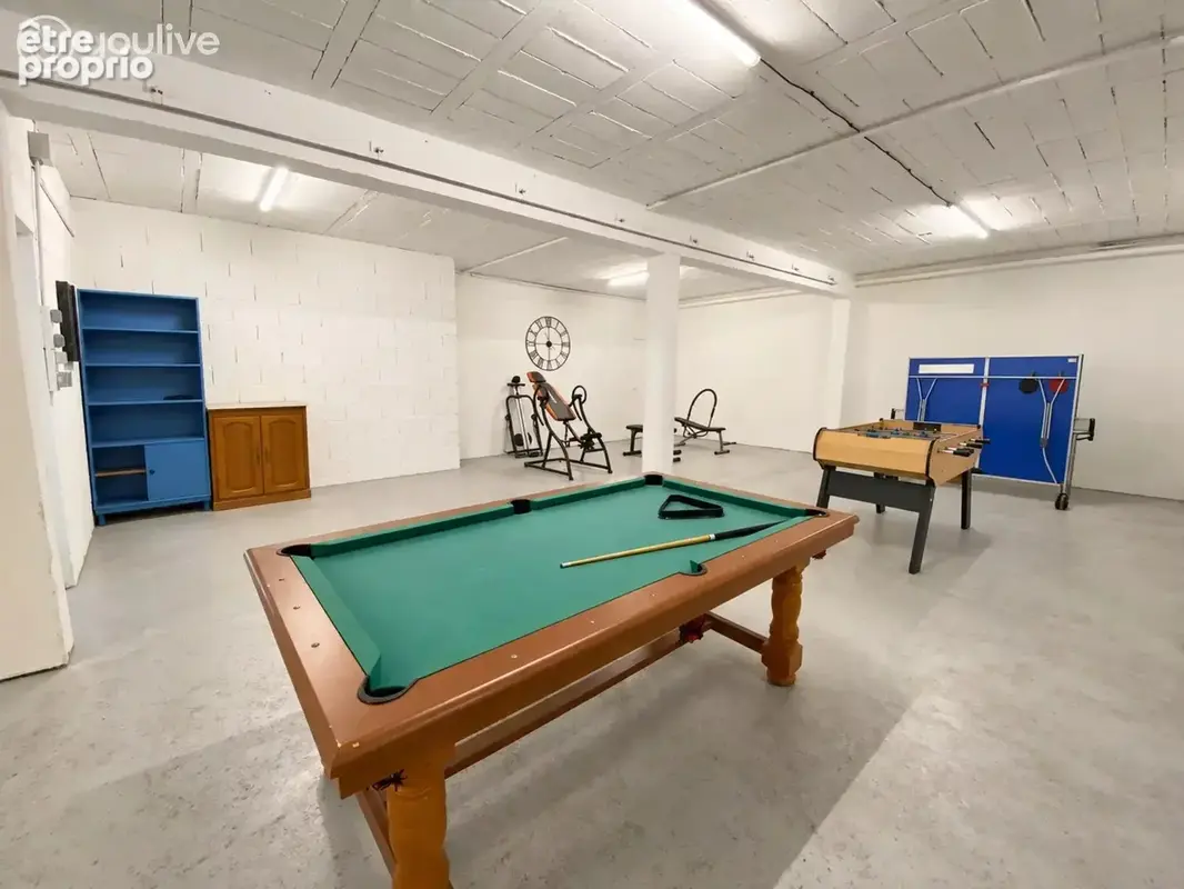 Maison dpe a, ateliers, local professionnel et étang - photo 11