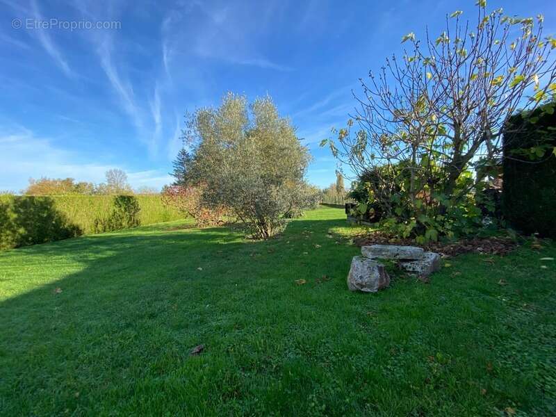 Urgent ! maison 200 m², 5 grd chambres, terrain 1600m² sans vis a vis - photo 17