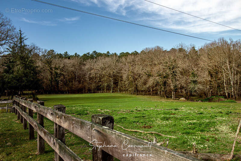 Maison à SAINT-FRONT-DE-PRADOUX