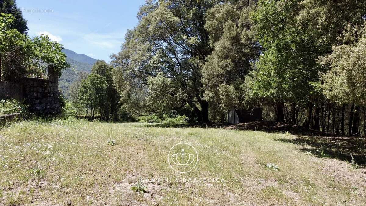 Terrain à ZICAVO