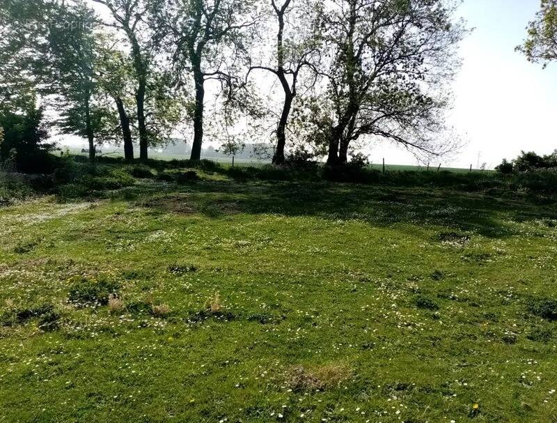 Terrain à GONFREVILLE-L'ORCHER