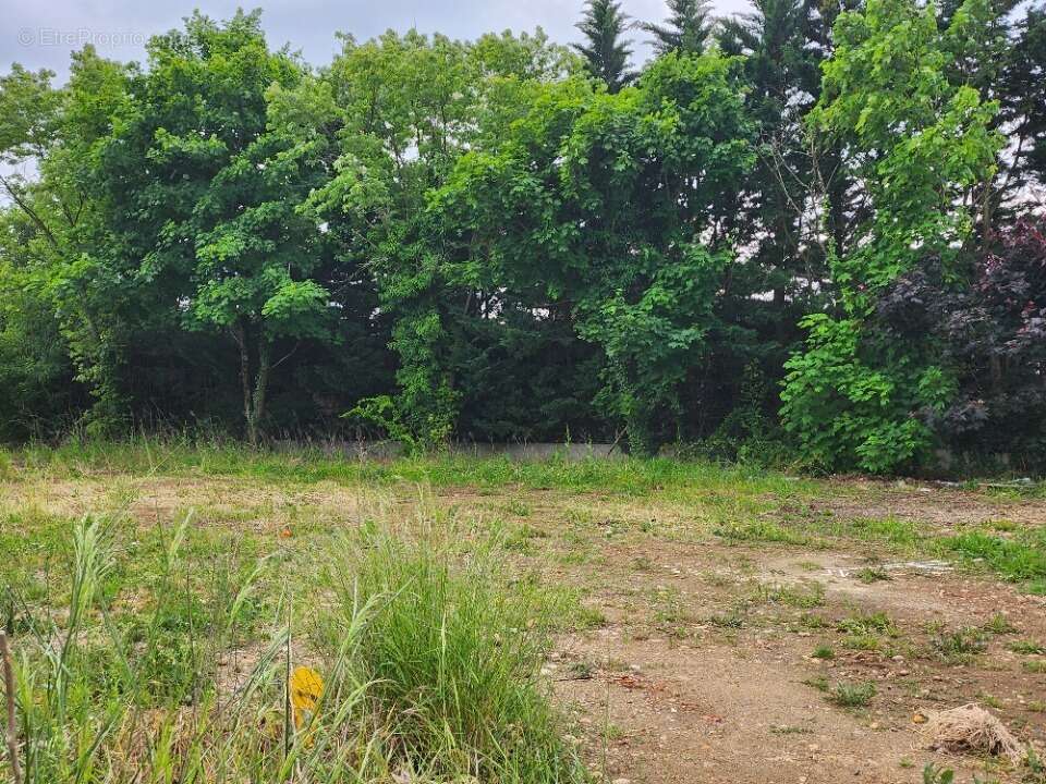 Terrain à SAINT-CLAIR-DU-RHONE
