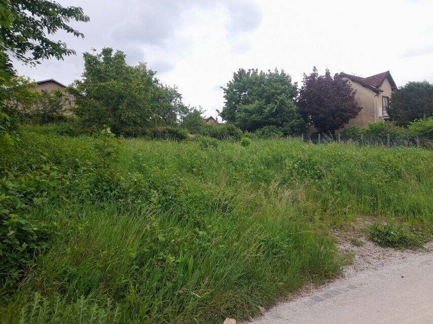 Terrain à JOIGNY