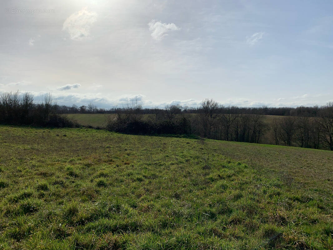 Terrain à BEAUMONT-DE-LOMAGNE