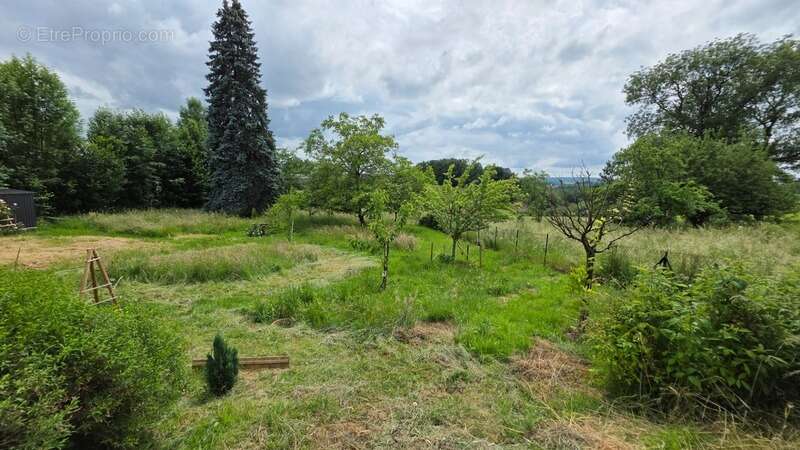 Maison 185 m² à Saint-Illide  - photo 10