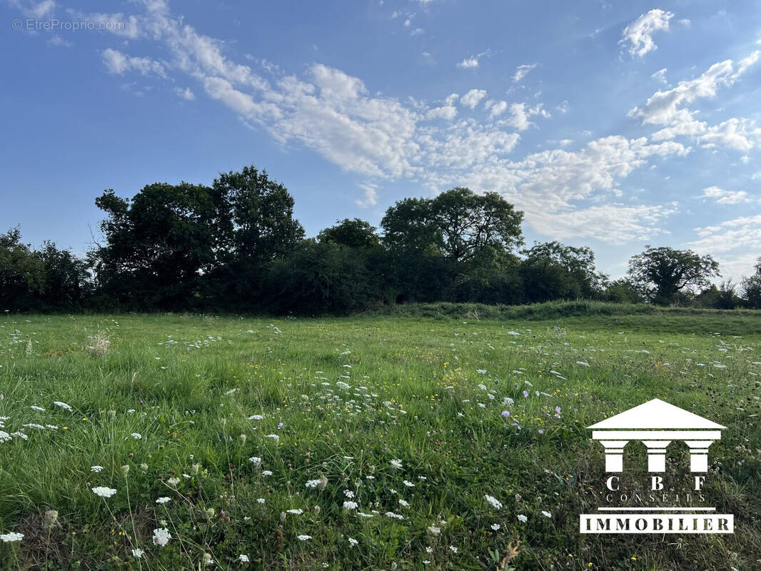 Terrain à SAINT-SERNIN-DU-BOIS
