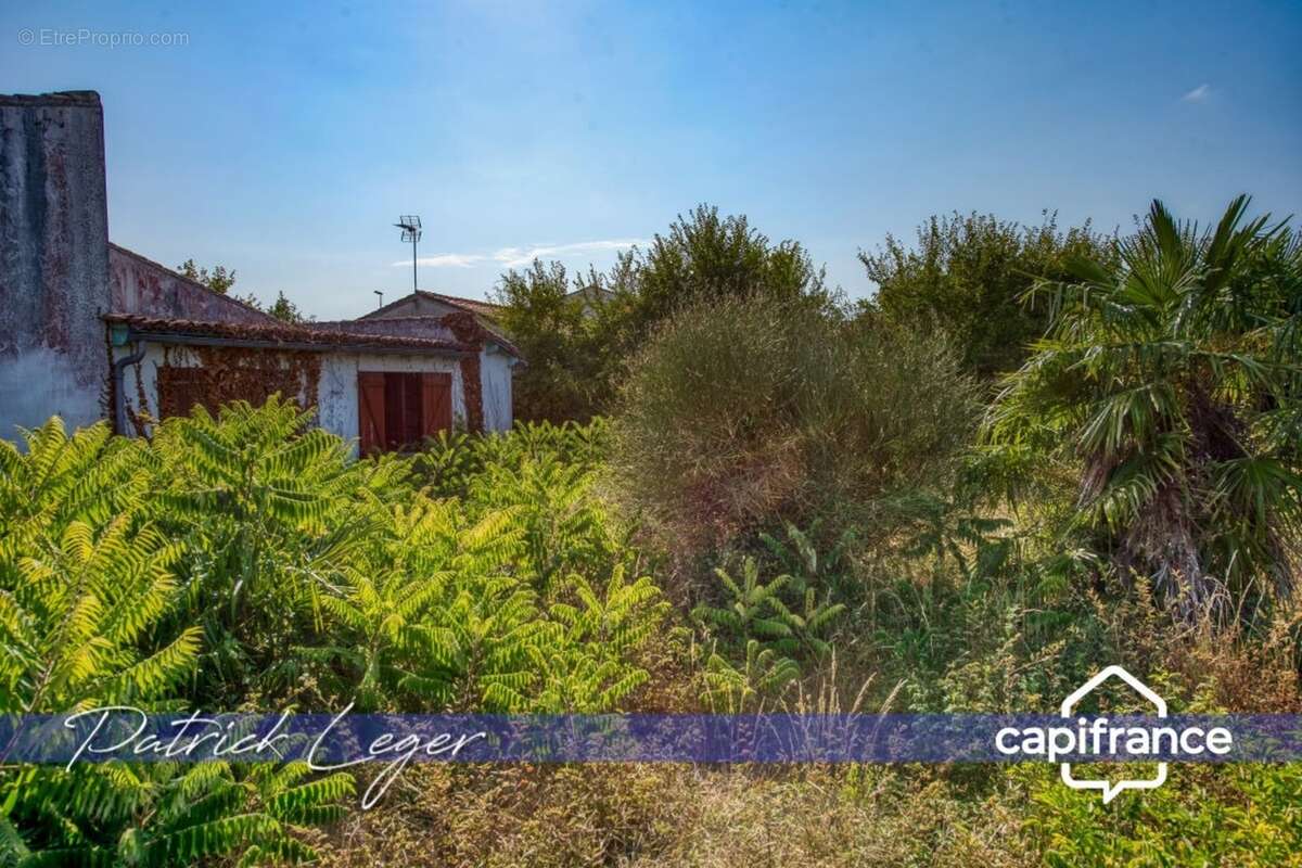 SAINT MARTIN DE RE (17), maison à rénover de 95 m² sur terrain de plus de 730m² en zone UB - photo 6