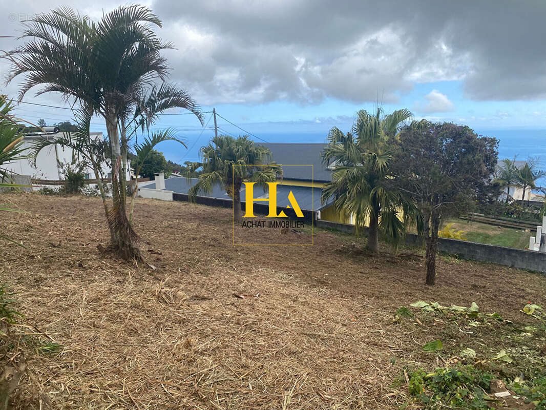 Terrain à SAINT-LEU