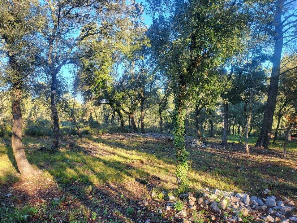 Terrain à LE THORONET