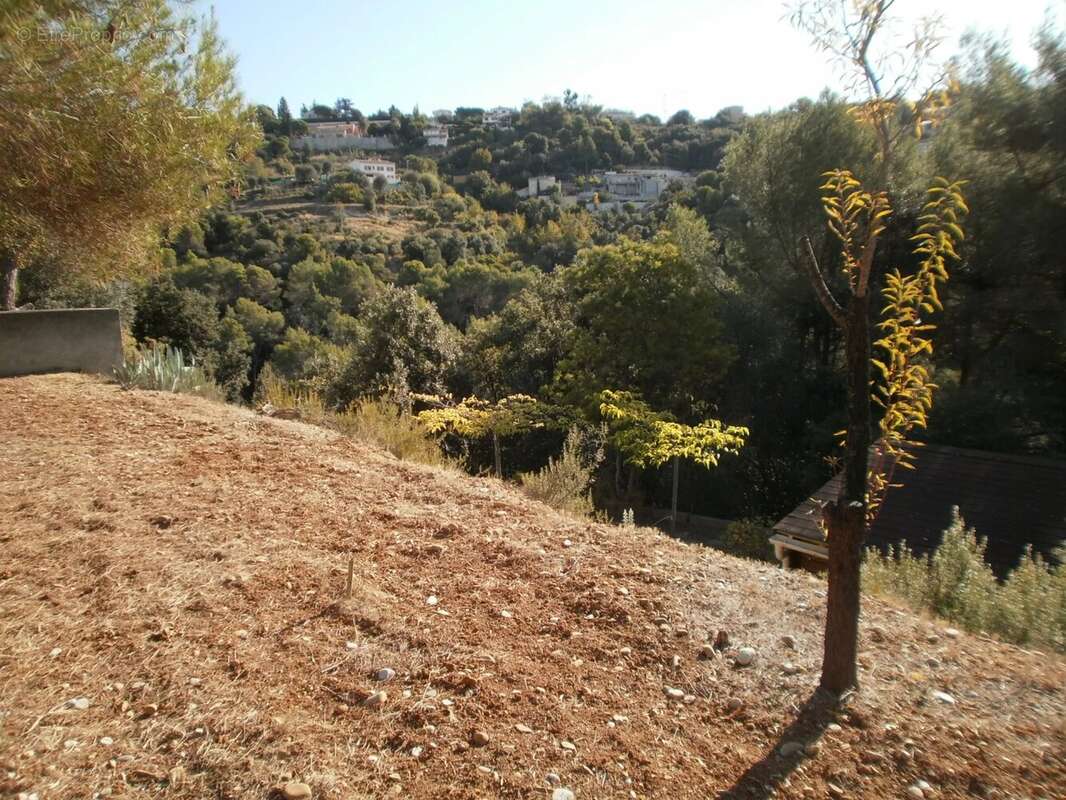 Terrain à NICE
