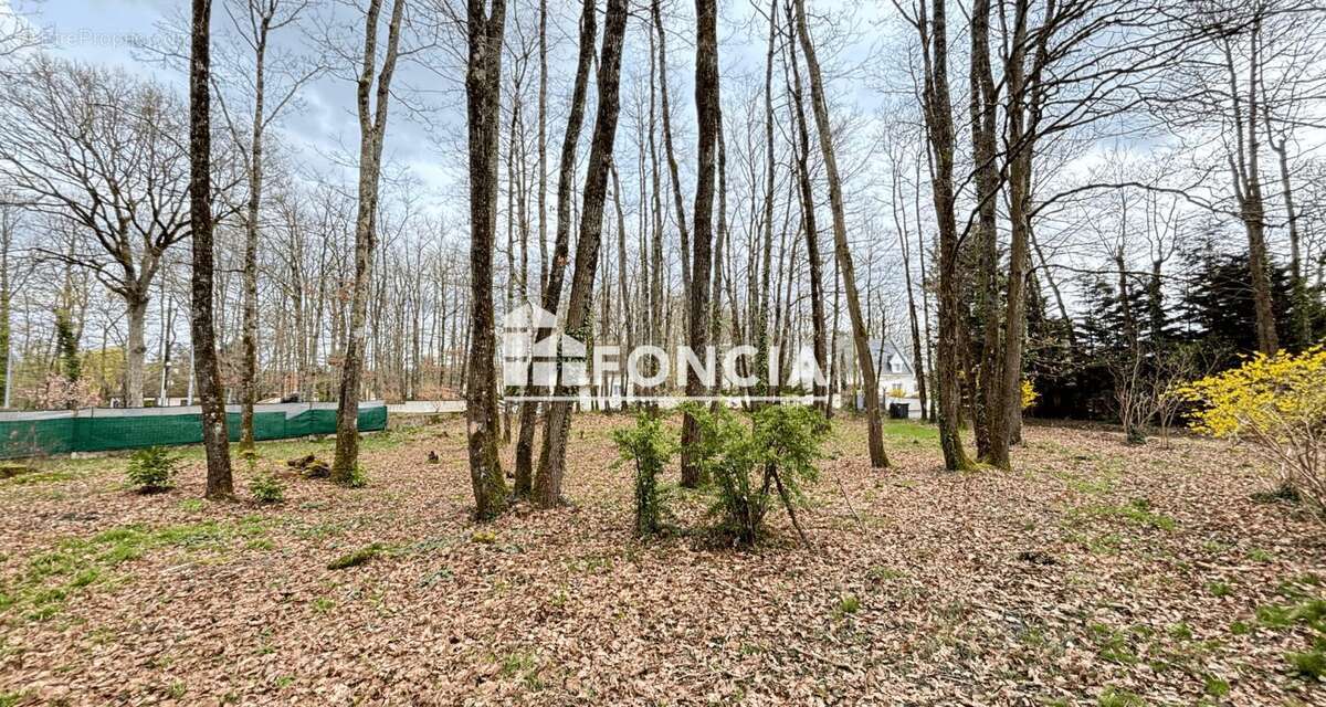 Terrain à SAVONNIERES