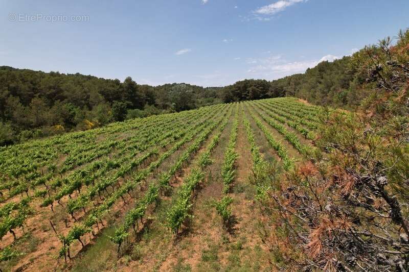 Commerce à CREISSAN