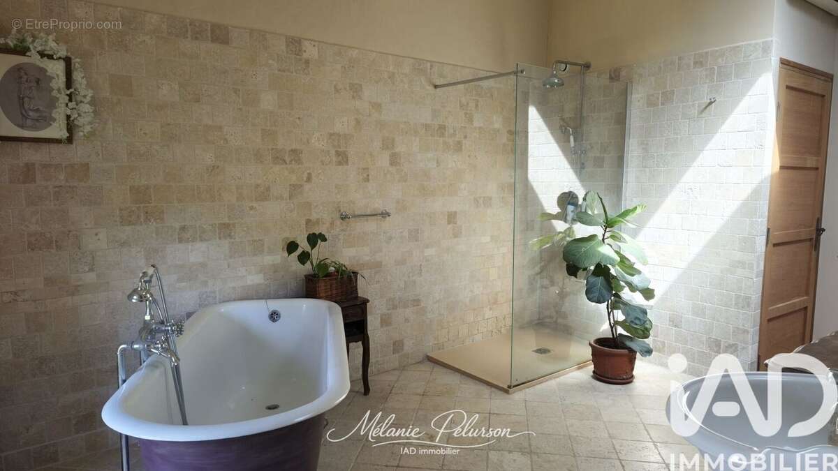 Maison 291 m² à Roynac  - photo 4
