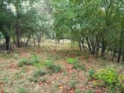 Terrain à SAINT-MAXIMIN-LA-SAINTE-BAUME