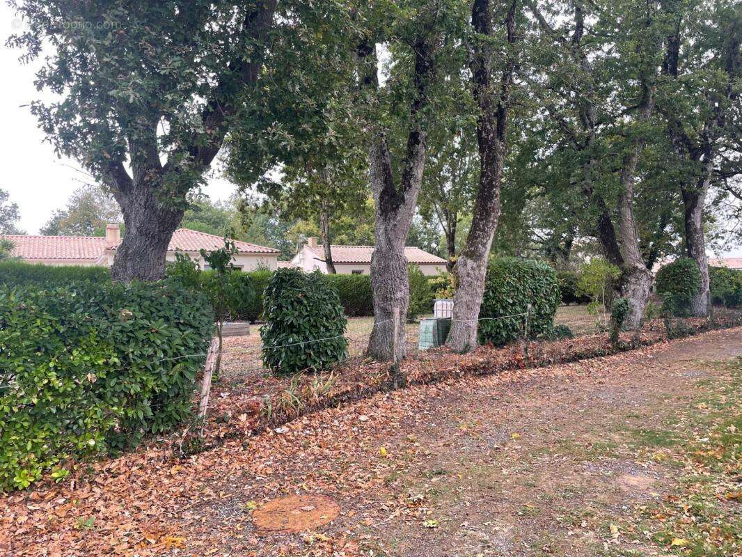 Terrain à SAINTE-FOY