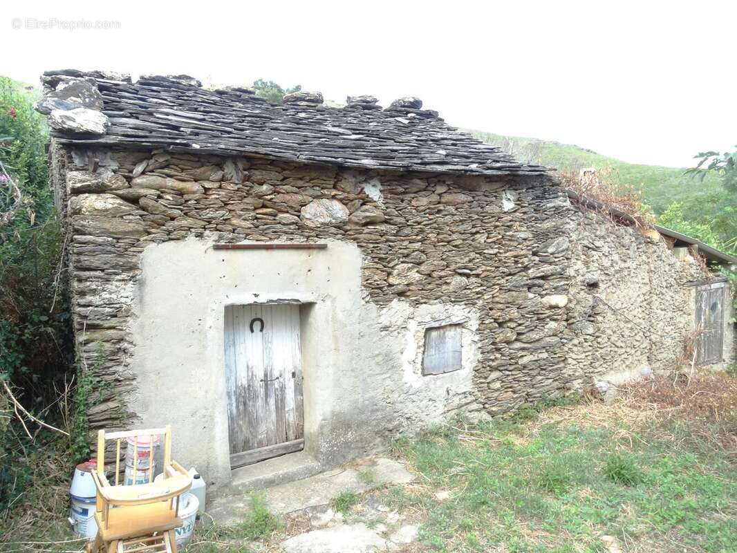 entrée indépendante par la bergerie - Maison à SISCO