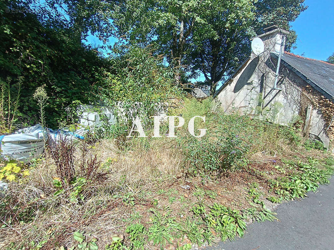 Plelauff, maison en pierre a vendre - photo 15