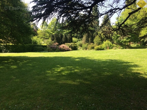 Maison à NEONS-SUR-CREUSE