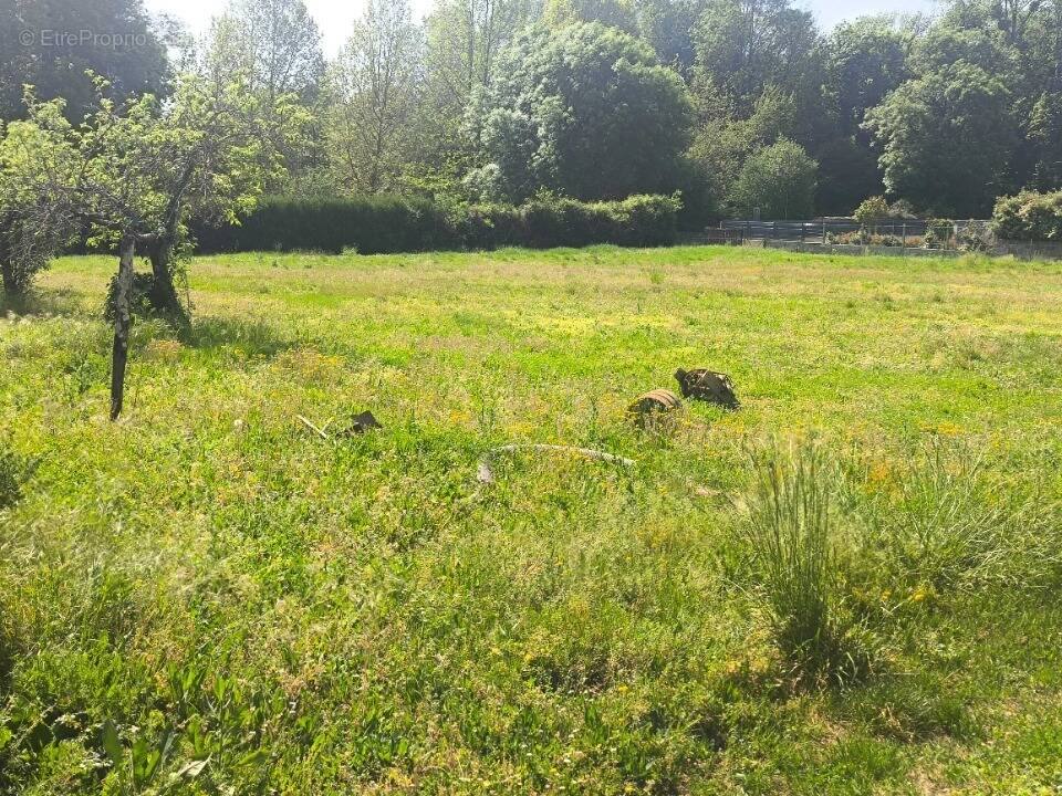 Terrain à NERCILLAC