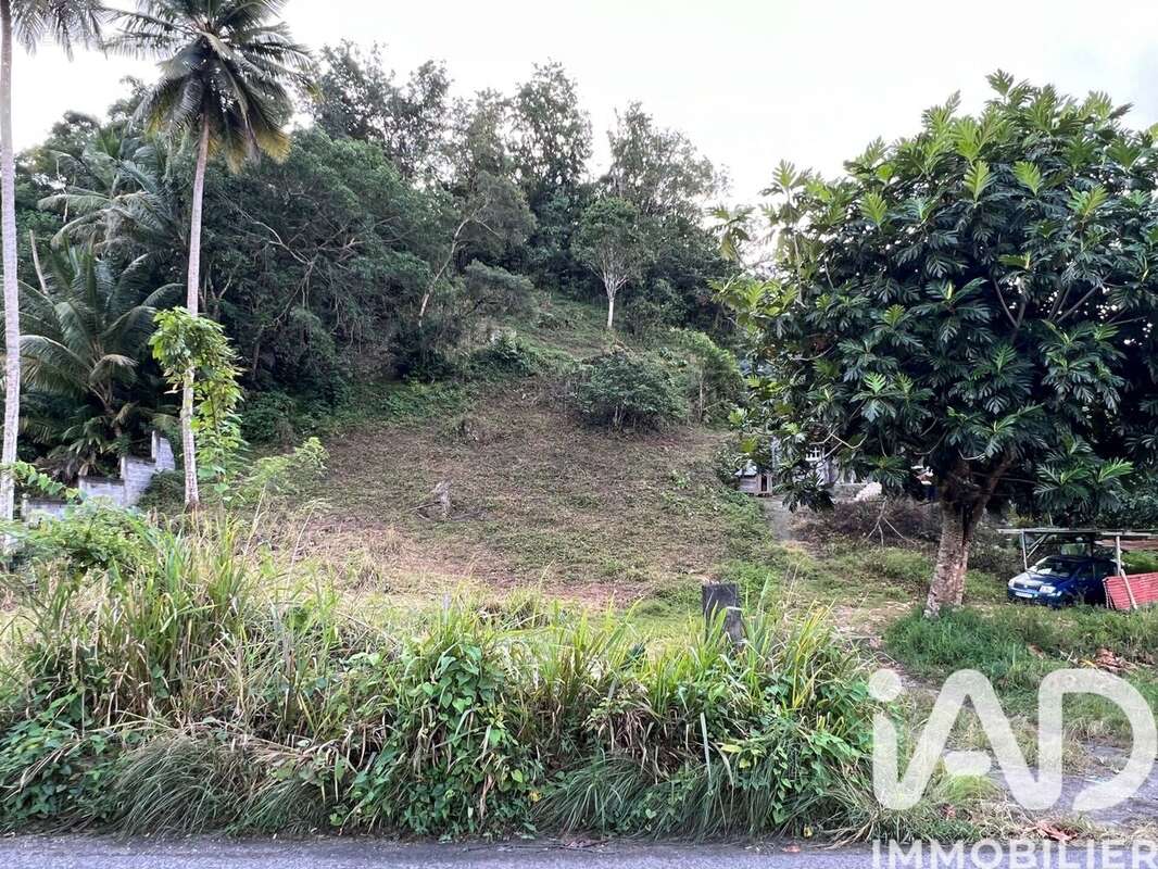 Photo 2 - Terrain à LES ABYMES