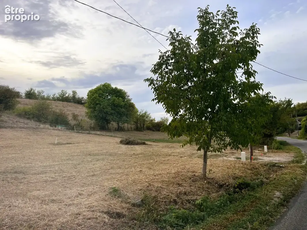 Exclusivité, villebrumier terrain constructible viabilisé. - photo 2