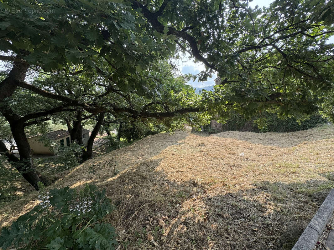Terrain à LES MAYONS