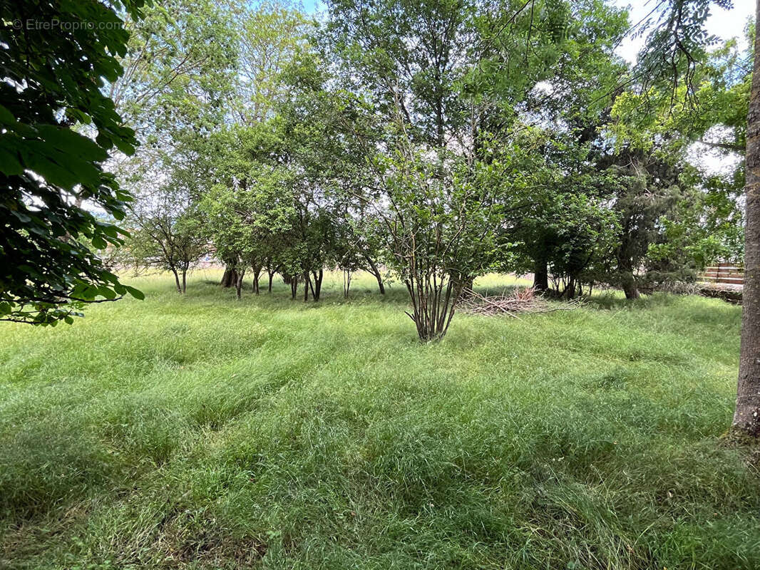 Terrain à PAULHAGUET