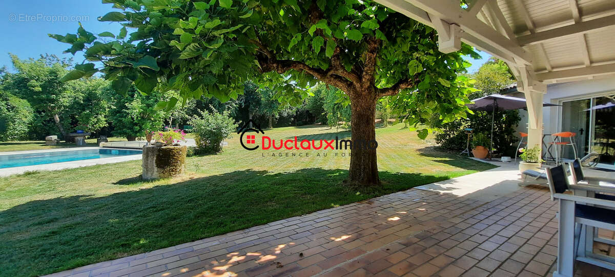 Grande maison individuelle de plain-pied avec piscine et vaste terrain arboré - photo 21