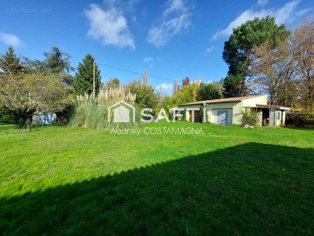 Photo 3 - Terrain à MONTECH