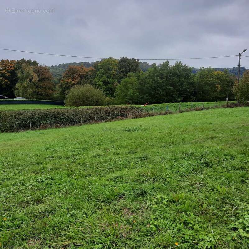 Terrain à CHATILLON-LE-DUC