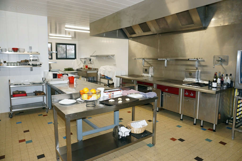 Commerce à PARAY-LE-MONIAL