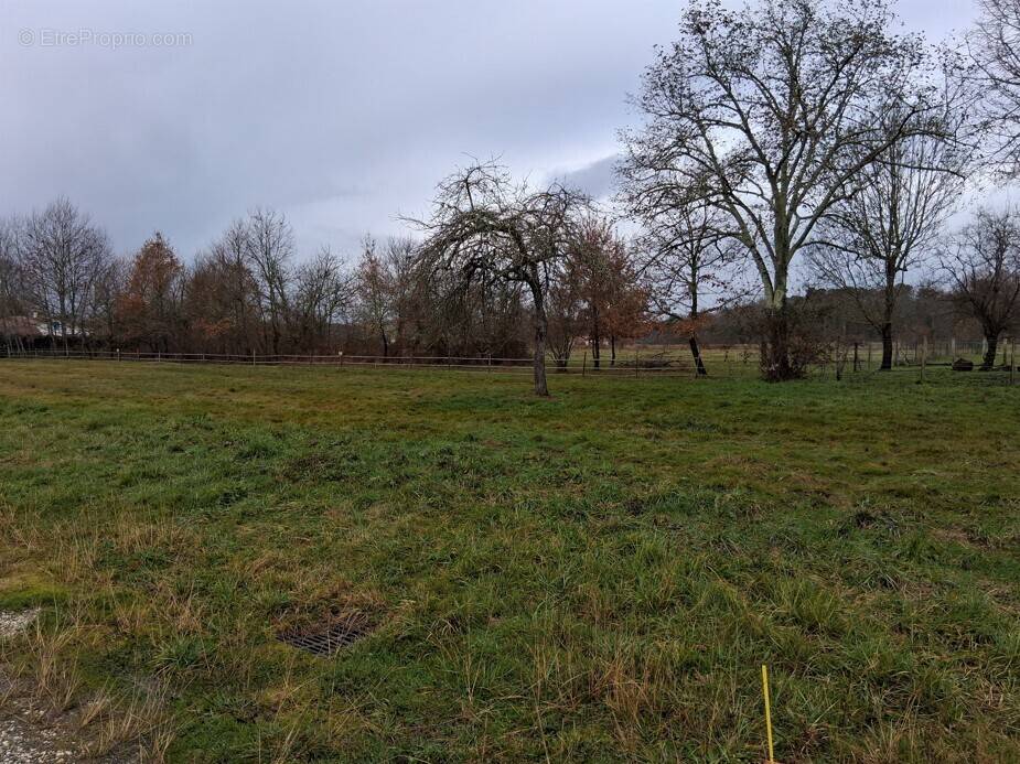 Terrain à LA FORCE