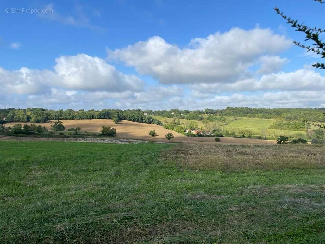 PHOTO20240110172528 4 - Maison à RIBERAC