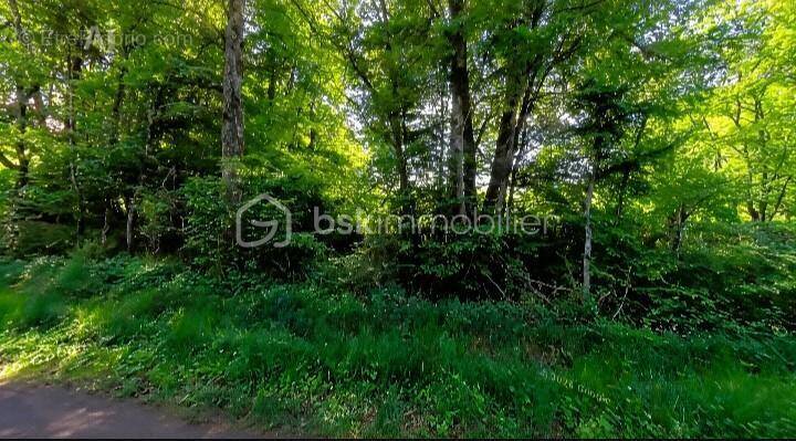 Terrain à MOUTIERS-EN-PUISAYE