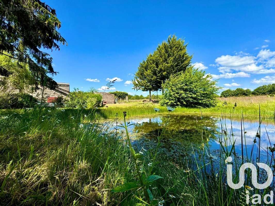 Photo 3 - Maison à PONT-PEAN