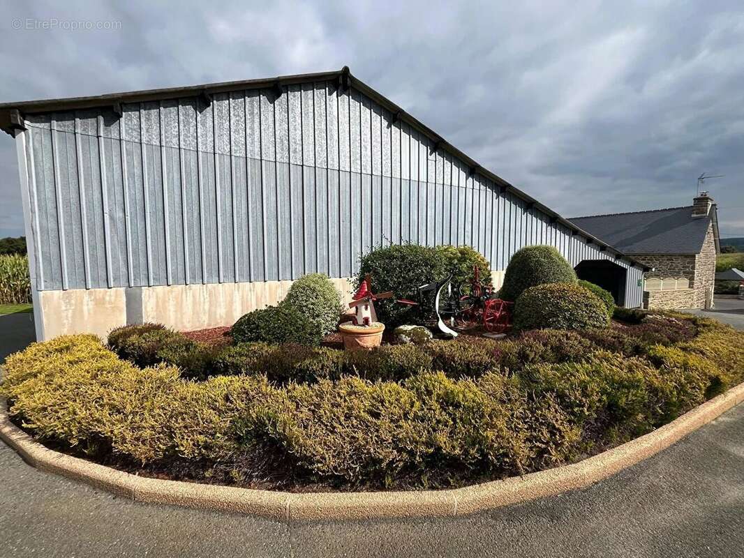 Maison à SAINT-BRANDAN