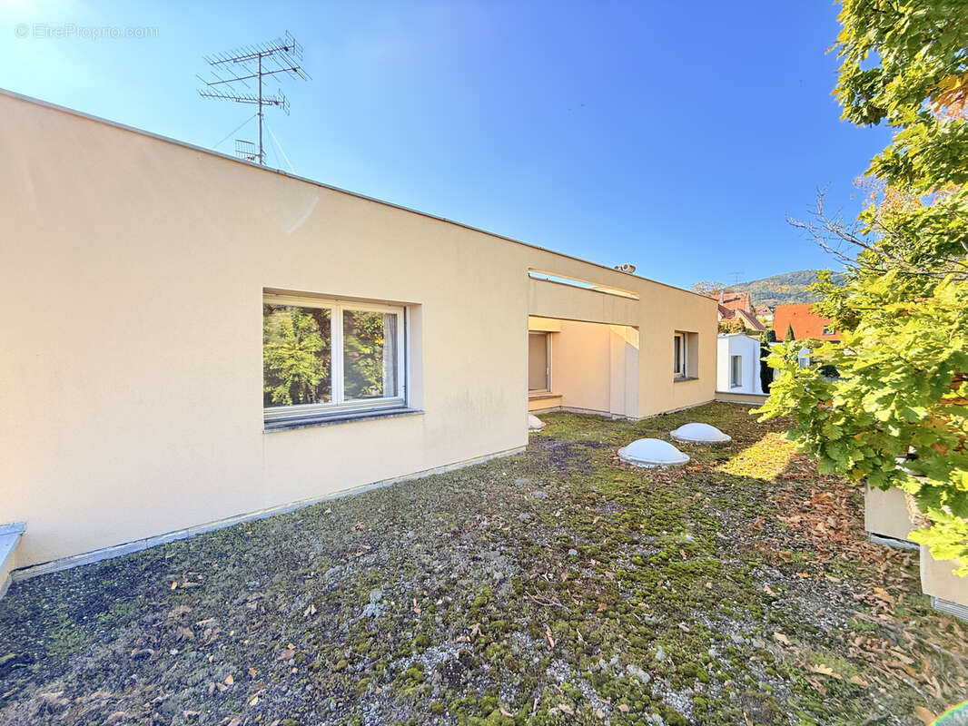 Maison à RIBEAUVILLE