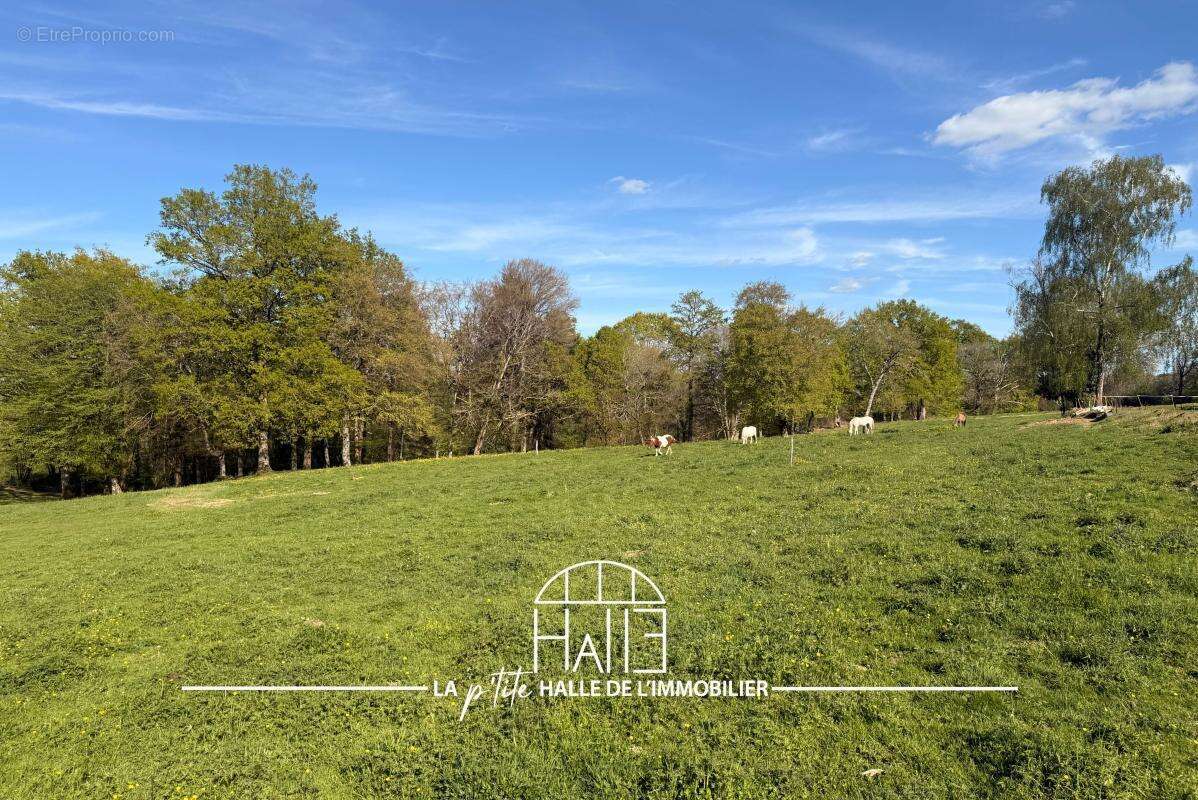 Terrain à SAINT-JUST-LE-MARTEL