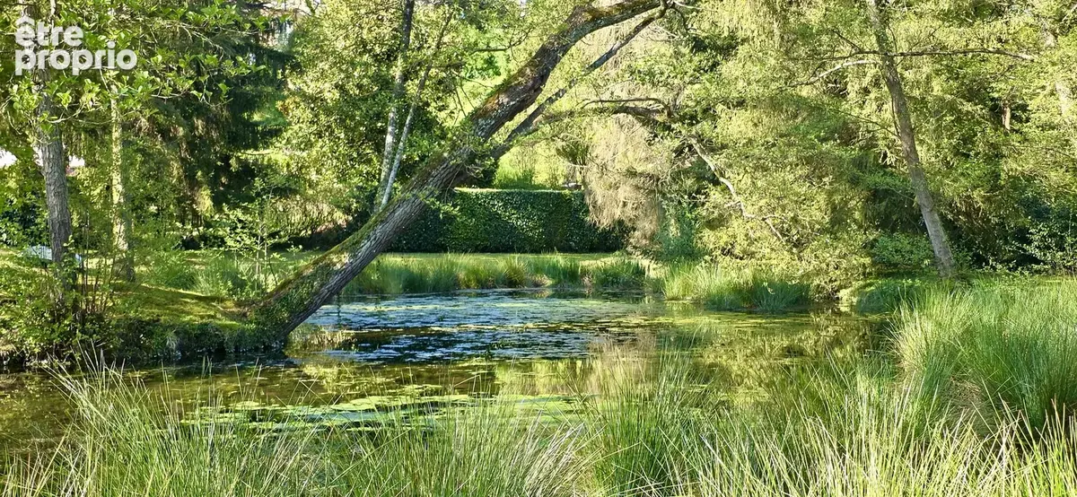Un Havre de paix entre eau et nature : Longère  de 125 m2 habitables sur 8 600 m² de terrain entièrement clôtu - photo 3