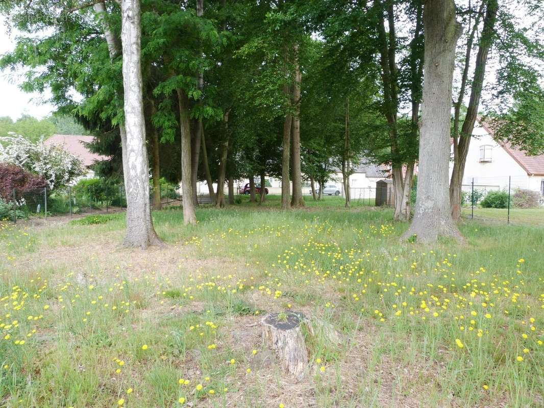 L'environnent est calme et agréable - Terrain à MONS-EN-LAONNOIS