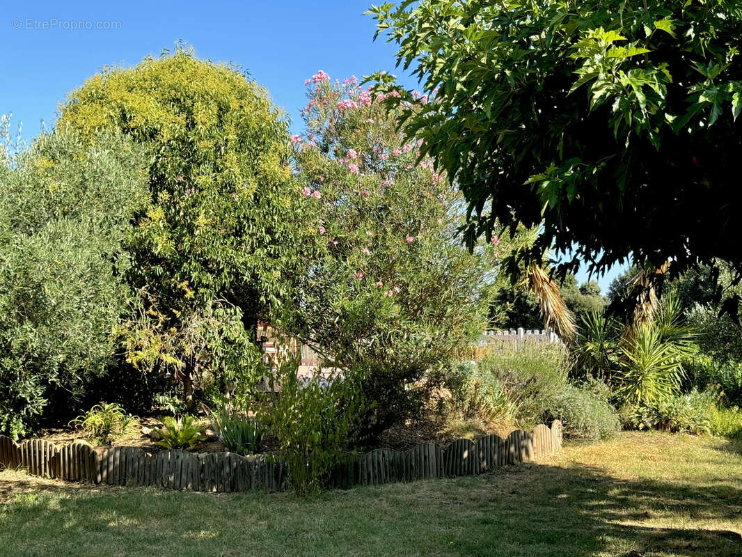 Maison à Collias 151 m2 sur 1252 m2 sans vis à vis, arboré piscinable avec vue et au calme - photo 5