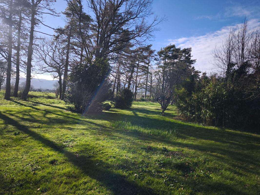 Maison à LABRUGUIERE