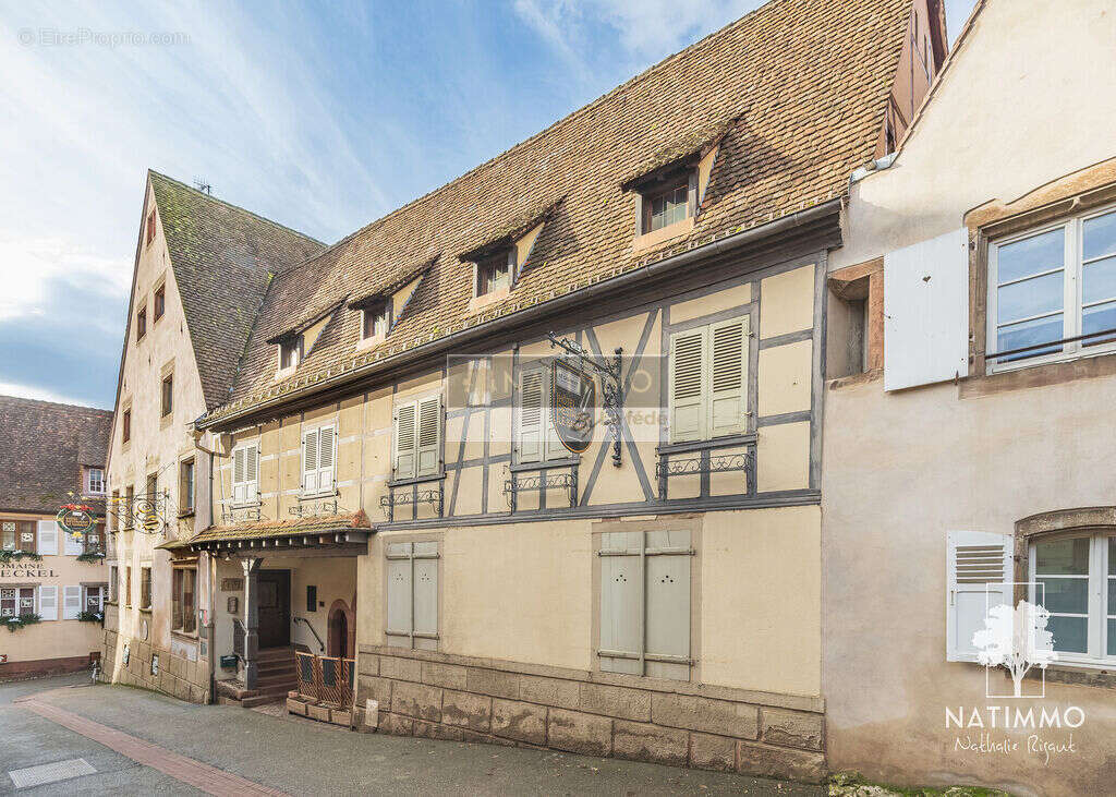 Commerce à MITTELBERGHEIM